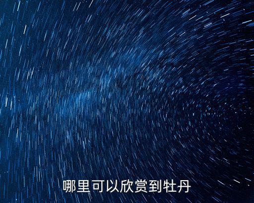 哪里可以欣賞到牡丹