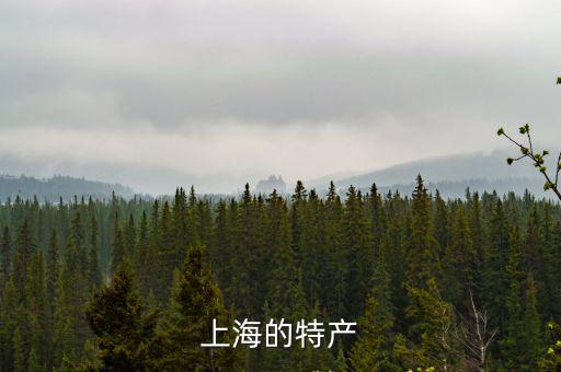 上海特產，上海最有名的特產是什么