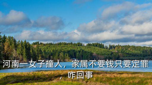 河南瑪莎拉蒂撞人事件怎么處理,河南一女子撞人