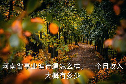 河南省事業編待遇怎么樣，一個月收入大概有多少