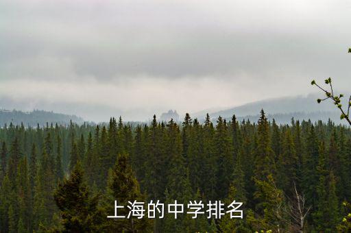 上海的中學排名