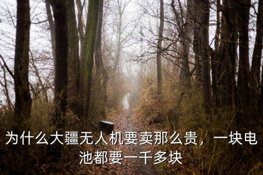 為什么大疆無人機(jī)要賣那么貴，一塊電池都要一千多塊