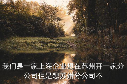 我們是一家上海企業想在蘇州開一家分公司但是想蘇州分公司不