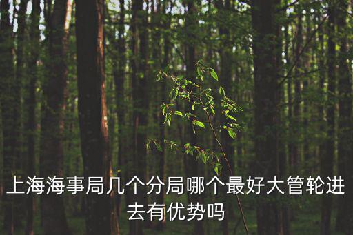 上海海事局，上海海事局一共有幾個