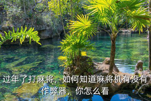 過年了打麻將，如何知道麻將機有沒有作弊器，你怎么看