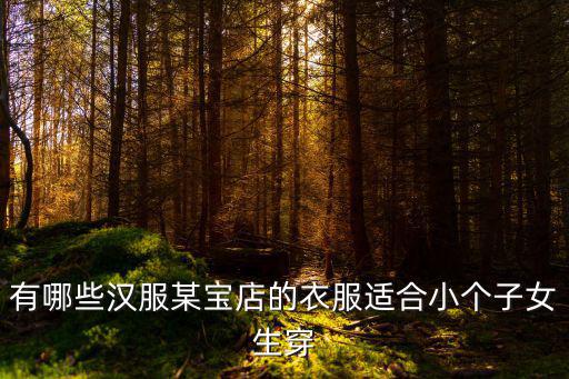 鄭州哪里有漢服店小女生穿的,有沒(méi)有適合胖胖的女孩的漢服