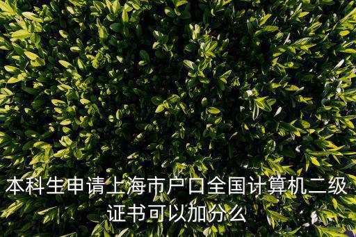 本科生申請上海市戶口全國計算機二級證書可以加分么