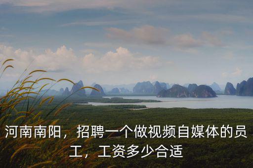 河南南陽，招聘一個做視頻自媒體的員工，工資多少合適