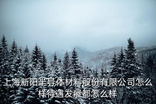 上海新陽(yáng)半導(dǎo)體材料股份有限公司怎么樣待遇發(fā)展都怎么樣