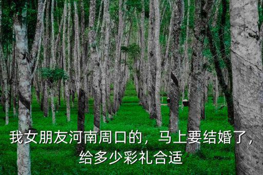 我女朋友河南周口的，馬上要結婚了，給多少彩禮合適