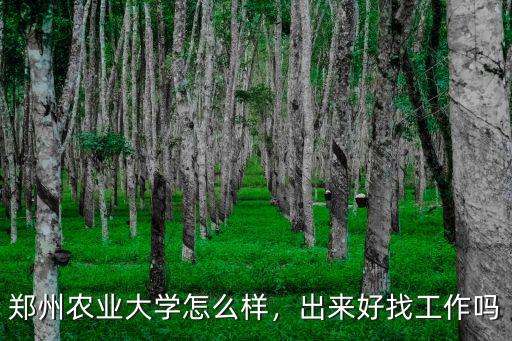 鄭州農(nóng)業(yè)大學(xué)怎么樣，出來好找工作嗎