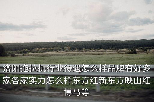 洛陽拖拉機行業待遇怎么樣品牌有好多家各家實力怎么樣東方紅新東方映山紅博馬等