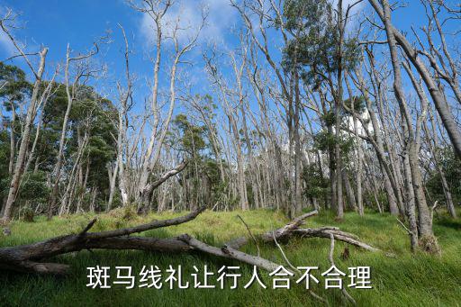 洛陽哪里設了禮讓行人,機動車禮讓行人