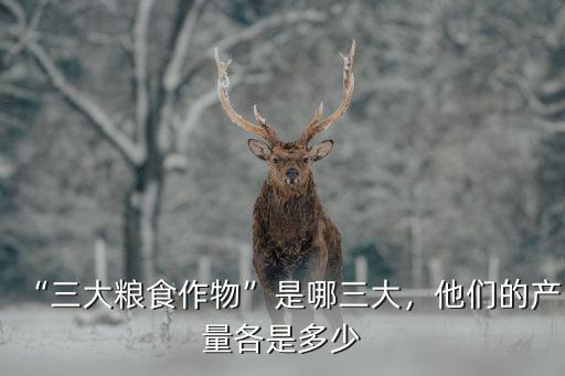 “三大糧食作物”是哪三大，他們的產量各是多少