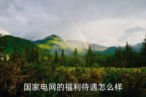 國家電網(wǎng)的福利待遇怎么樣