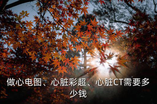 做心電圖、心臟彩超、心臟CT需要多少錢