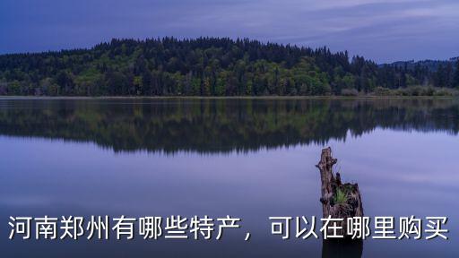 河南鄭州有哪些特產(chǎn)，可以在哪里購買