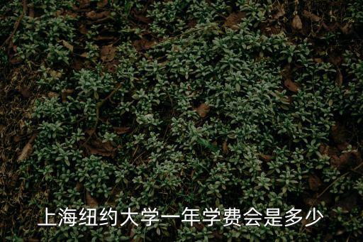 上海紐約大學學費，上海紐約大學一年學費會是多少