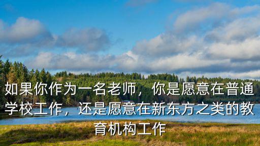 如果你作為一名老師，你是愿意在普通學校工作，還是愿意在新東方之類的教育機構工作