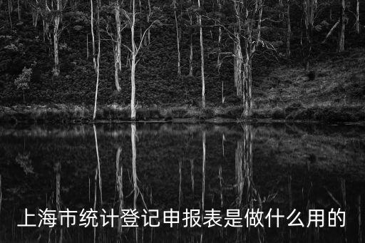 上海市統計登記申報表是做什么用的