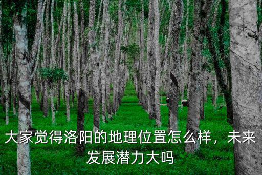 洛陽關(guān)圣苑地理位置怎么樣,洛陽關(guān)林怎么樣