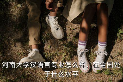 河南大學漢語言專業怎么祥，在全國處于什么水平