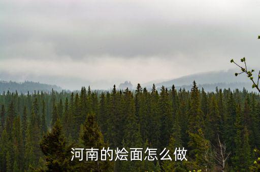 鄭州燴面坯怎么做不發,河南的燴面怎么做