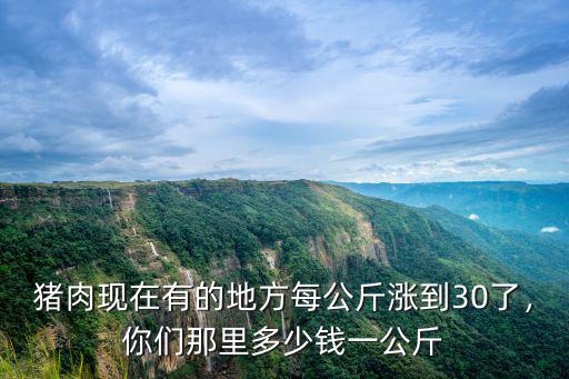 豬肉現(xiàn)在有的地方每公斤漲到30了，你們那里多少錢一公斤