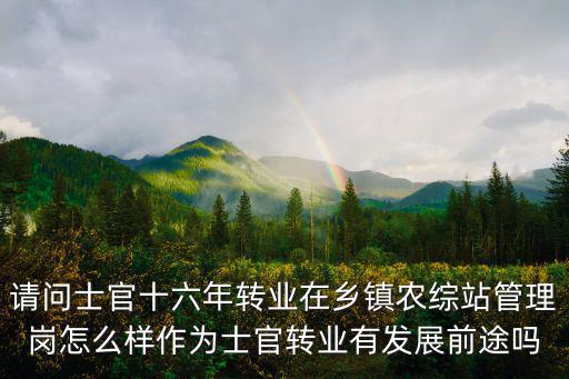 請問士官十六年轉(zhuǎn)業(yè)在鄉(xiāng)鎮(zhèn)農(nóng)綜站管理崗怎么樣作為士官轉(zhuǎn)業(yè)有發(fā)展前途嗎