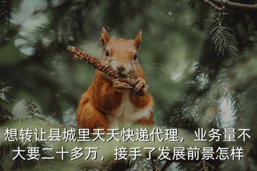 想轉讓縣城里天天快遞代理，業務量不大要二十多萬，接手了發展前景怎樣