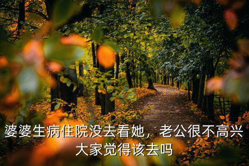 婆婆生病住院沒(méi)去看她，老公很不高興大家覺(jué)得該去嗎