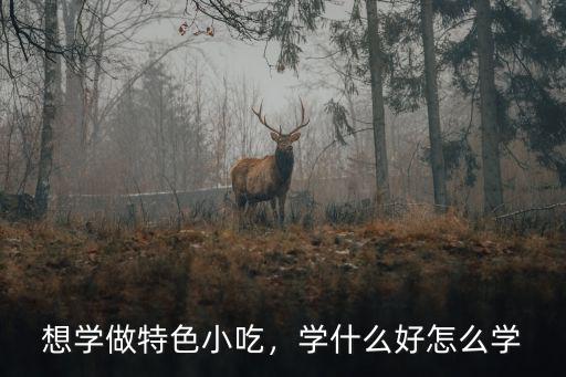 想學做特色小吃，學什么好怎么學