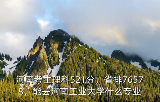 河南考生理科521分，省排76578，能去河南工業(yè)大學什么專業(yè)