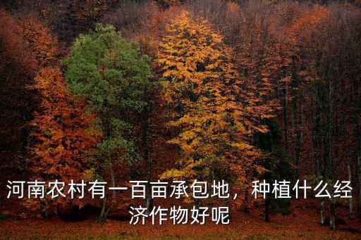河南農(nóng)村有一百畝承包地，種植什么經(jīng)濟作物好呢
