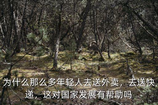 為什么那么多年輕人去送外賣，去送快遞，這對國家發展有幫助嗎