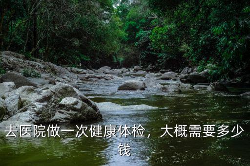 去醫院做一次健康體檢，大概需要多少錢