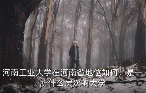 河南工業大學在全國怎么樣,河南工業大學怎么樣