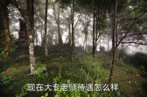 現在大專老師待遇怎么樣