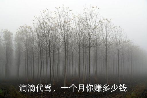 滴滴代駕，一個月你賺多少錢