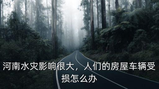河南水災影響很大，人們的房屋車輛受損怎么辦