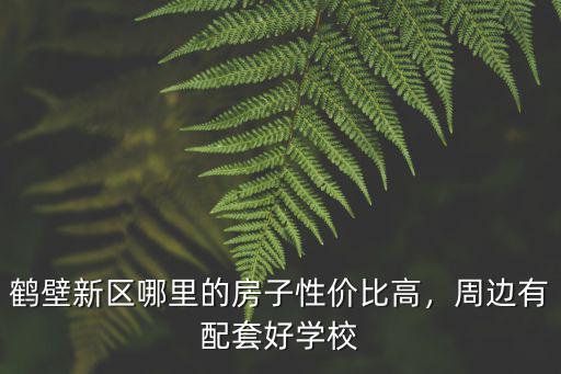 鶴壁新區哪里的房子性價比高，周邊有配套好學校