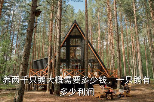 養兩千只鵝大概需要多少錢，一只鵝有多少利潤
