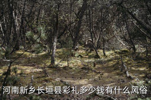 河南新鄉(xiāng)長(zhǎng)垣縣彩禮多少錢有什么風(fēng)俗