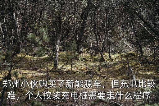 鄭州小伙購買了新能源車，但充電比較難，個(gè)人按裝充電樁需要走什么程序