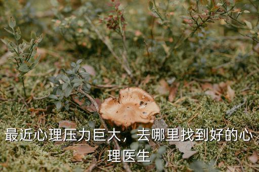 最近心理壓力巨大，去哪里找到好的心理醫生