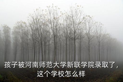 孩子被河南師范大學新聯(lián)學院錄取了，這個學校怎么樣
