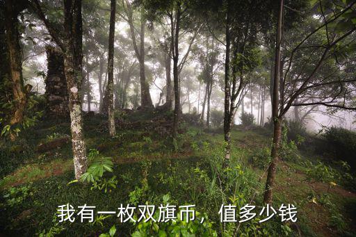 我有一枚雙旗幣，值多少錢
