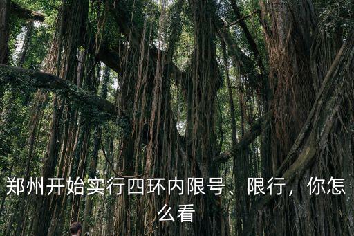 鄭州開始實行四環內限號、限行，你怎么看