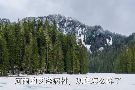 河南的艾滋病村，現在怎么樣了