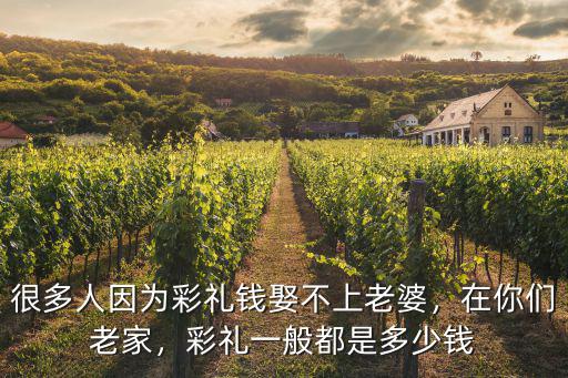 很多人因為彩禮錢娶不上老婆，在你們老家，彩禮一般都是多少錢